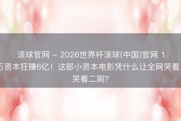 滚球官网 - 2026世界杯滚球(中国)官网 1400万资本狂赚6亿！这部小资本电影凭什么让全网哭着二刷？
