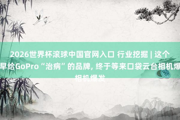 2026世界杯滚球中国官网入口 行业挖掘 | 这个最早给GoPro“治病”的品牌， 终于等来口袋云台相机爆发
