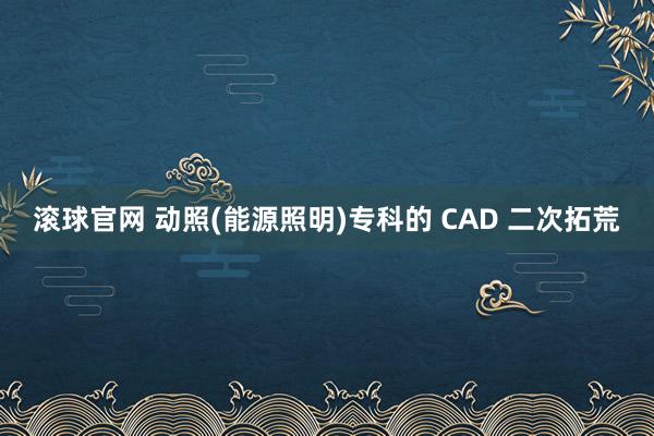 滚球官网 动照(能源照明)专科的 CAD 二次拓荒
