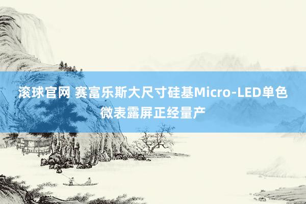 滚球官网 赛富乐斯大尺寸硅基Micro-LED单色微表露屏正经量产